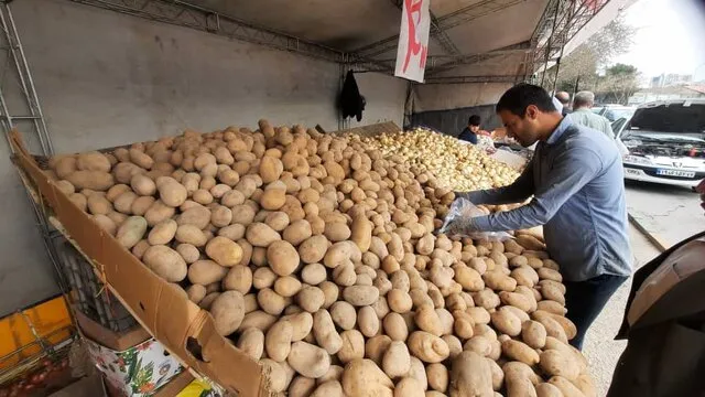 سیب‌زمینی و پیاز در این تاریخ ارزان می‌شوند