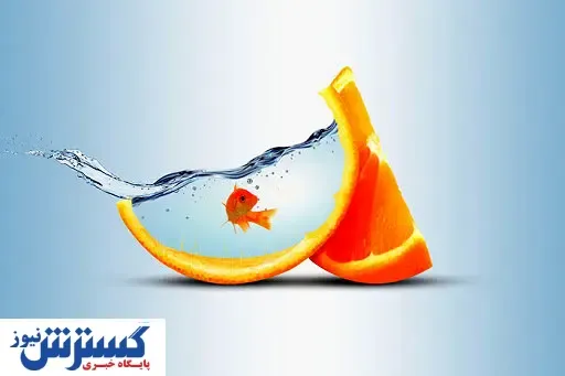 واردات آب مجازی، ابزاری برای حل مشکل کم آبی!