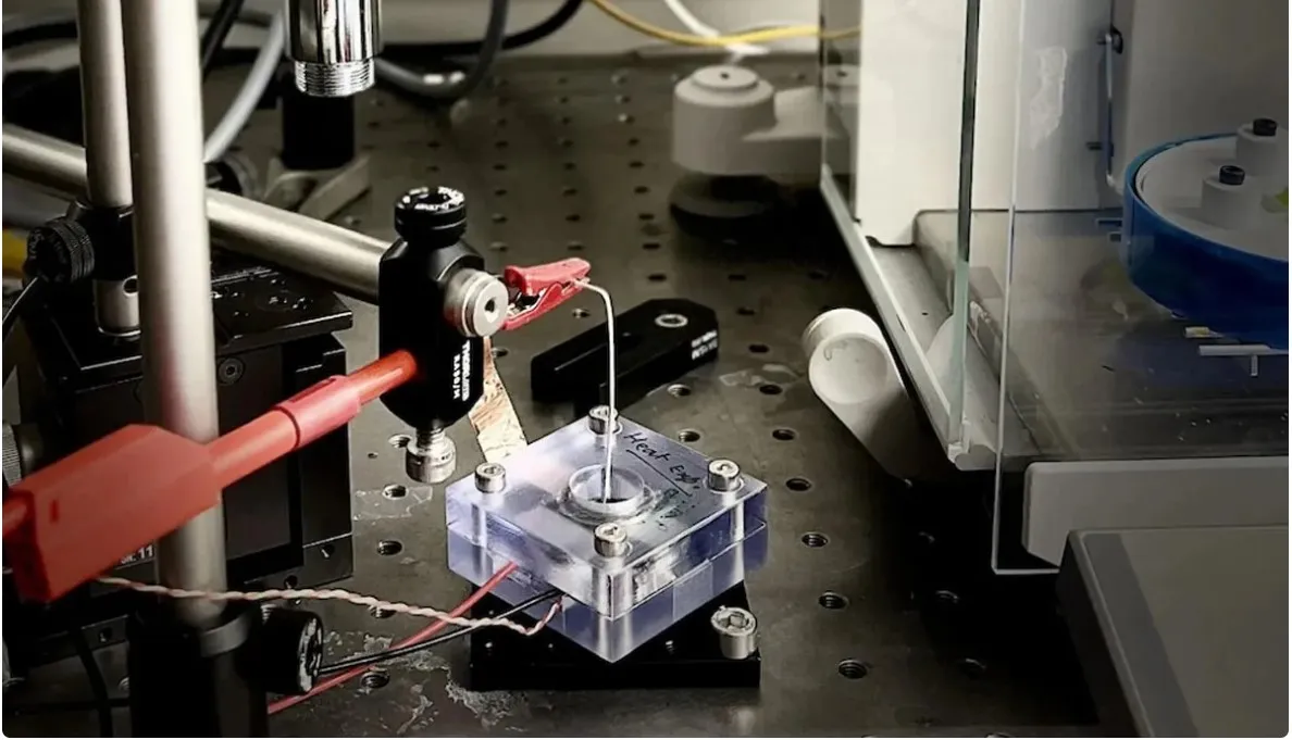 تبخیر تبخیر