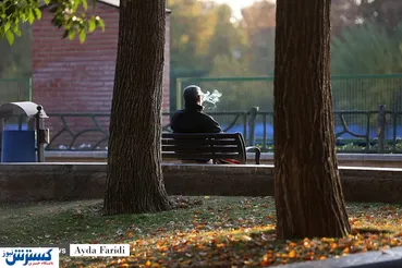 تصاویر/ سایه روشن یک پاییز کرونایی