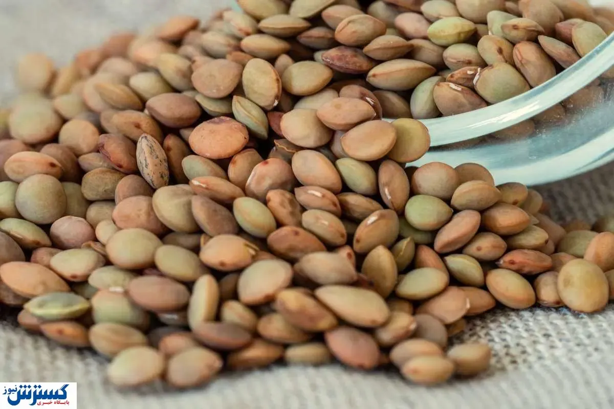 شوک قیمتی حبوبات ؛ سفره ها خالی شد