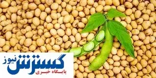 هشدار درباره مصرف سویا برای این افراد!