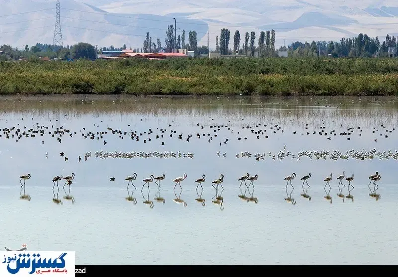 هشدار جدی در مورد خشک شدن تالاب انزلی