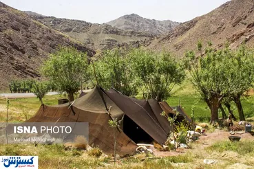 تصاویر / لحظات تماشایی از طولانی ترین مسیر کوچ جهان