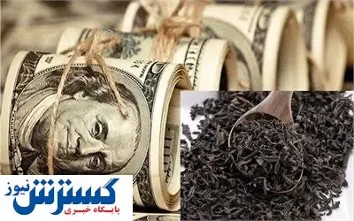 رقم فساد چای دبش برابر با هزینه ساخت شهر تفریحی عربستان / با این پول در کشورهای دیگر چه می شود کرد؟