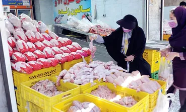 قیمت واقعی مرغ اعلام شد / مرغ گرم امروز چقدر است؟
