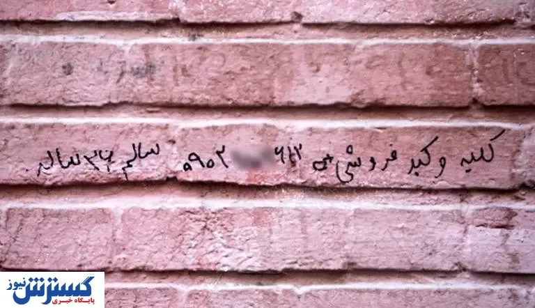کلیه و کبد چند؟/ بازار خرید و فروش اعضای بدن
