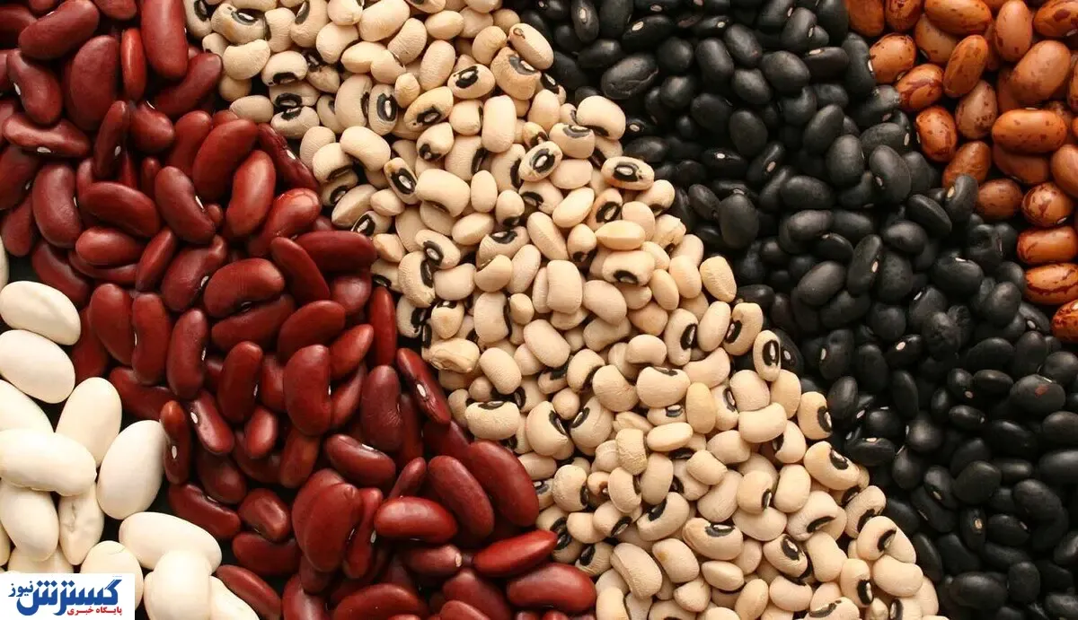 قیمت لوبیا شب عیدی افسار پاره کرد !