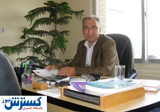 چرا تخم مرغ دوباره گران شد؟