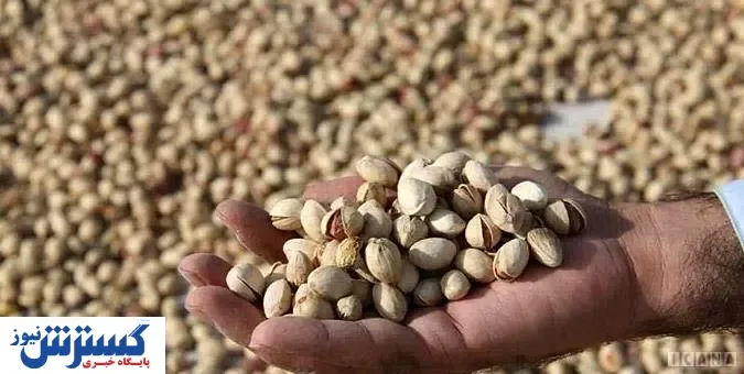 اتفاق بی سابقه برای پسته ایران