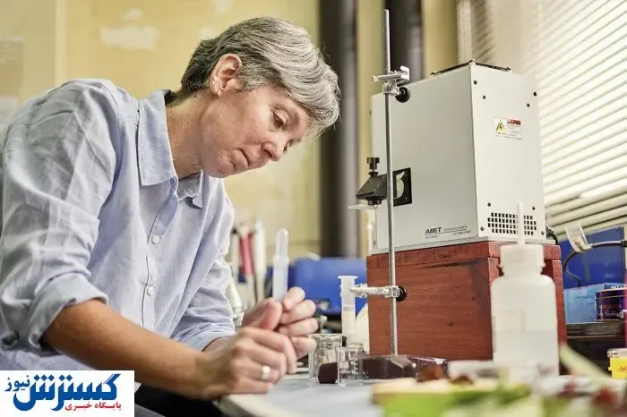 تولید الکتریسته با استفاده از گیاه!