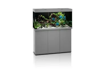 بهترین برندهای آکواریوم؛ معرفی 14 برند