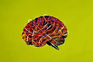 با انجام این فعالیت ها مغز خود را از پیری و استرس دور کنید