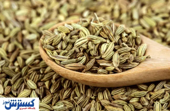 زیره؛ بهترین گزینه برای تقویت سیستم ایمنی بدن!