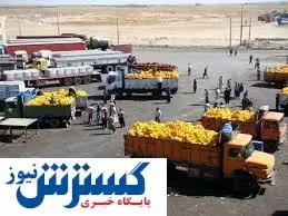 صادرات ۶ میلیون تن محصول کشاورزی در ۹ ماه امسال