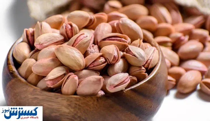 راهنمای جامع معرفی انواع پسته در ایران