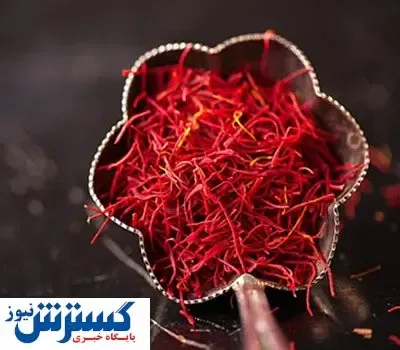 افزایش ۵ برابری قیمت زعفران
