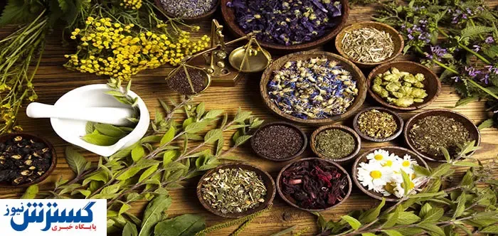 مجوز تولید به ۲ داروی گیاهی کرونا داده شد