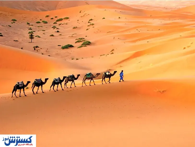 مدیر بیابان لوت آب پاکی را  بر روی دست معدن ریخت