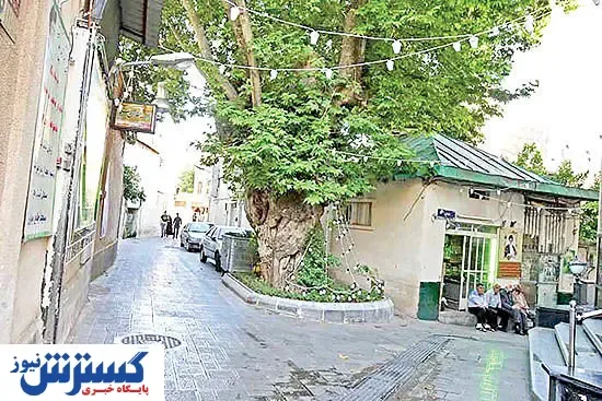 دوئل ساختمانی دولت و شهرداری در زمین جماران
