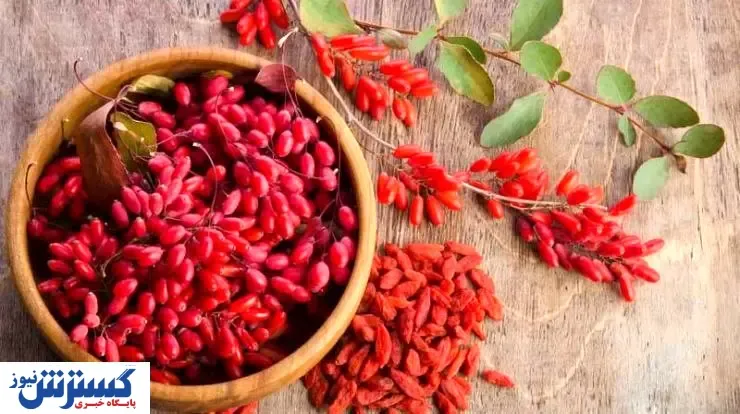 زرشک در بازار چند ؟ ( ۱۳ آذر )