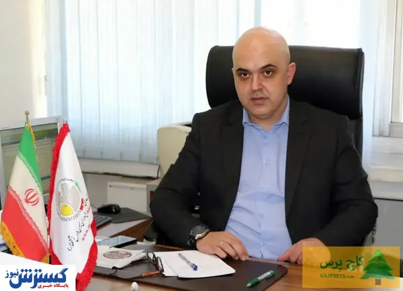 تخم مرغ تا شب عید گران می شود؟ / قیمت هر شانه در بازار