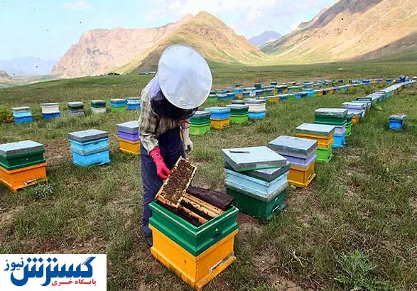 مشکل جدید گریبان زنبورداران را گرفت