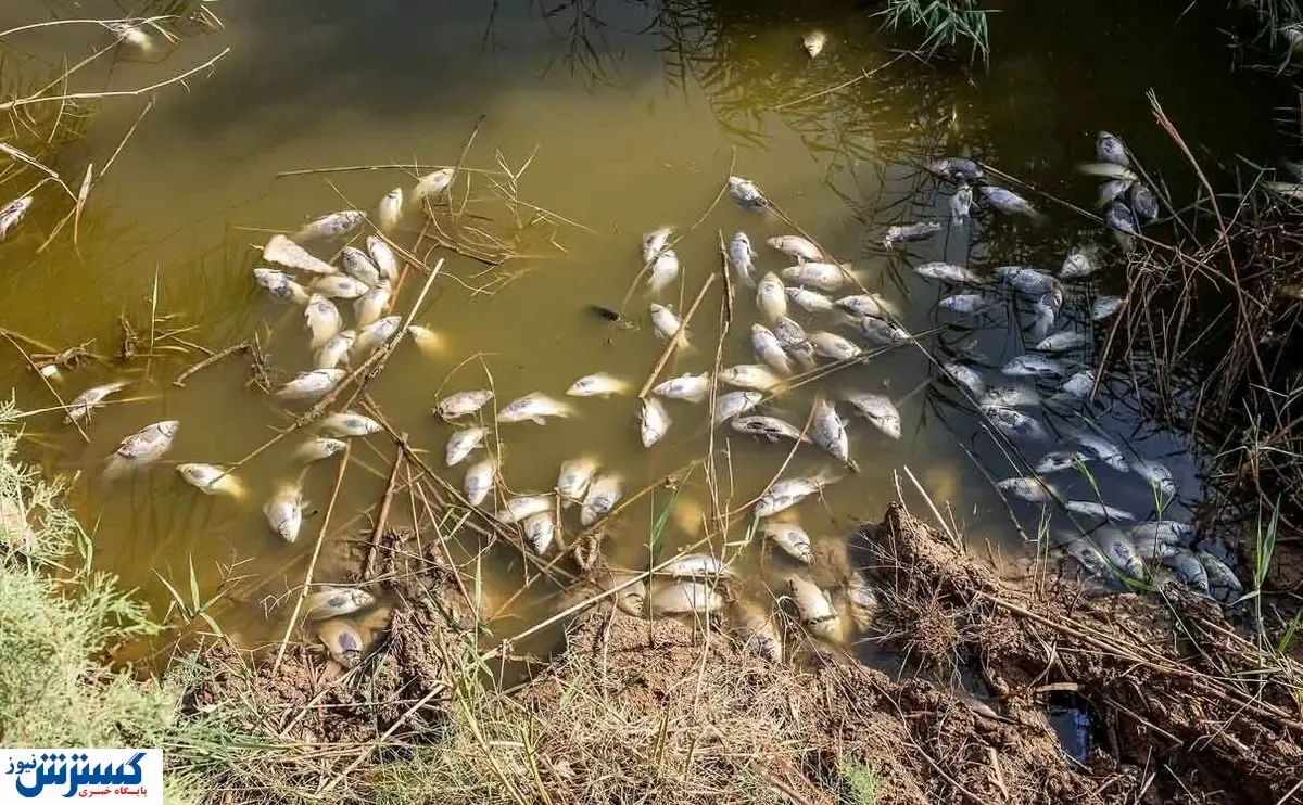 خشکی هورالعظیم  همچنان ادامه دارد