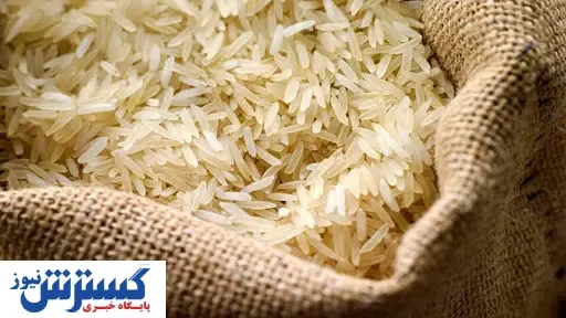 برنج پاکستانی لاکچری شد + قیمت