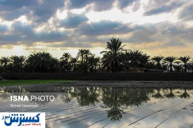 حال زمستانی استان بوشهر چطور است؟
