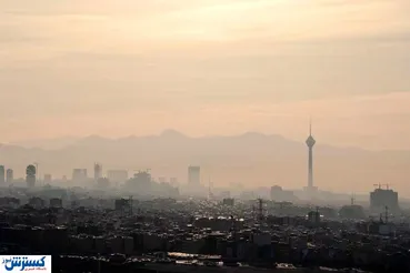 برای خانه خود نفس بخرید ؛ نجات از آلودگی با ۵ گیاه آپارتمانی