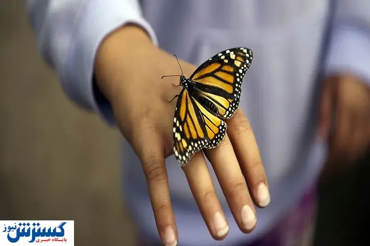 بیماری هایی که تن همه را می لرزاند!