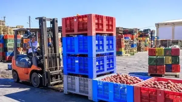 اخطار به گمرک/ قوه قضائیه موارد غیرقانونی را اعلام کرد