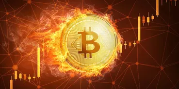 قیمت روزانه ارز دیجیتال مشخص شد/ سقوط کدام رمز ارز ها قطعی است؟