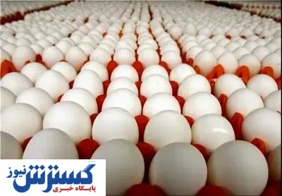 قیمت هر کیلوگرم تخم‌ مرغ فله در بازار + جزییات
