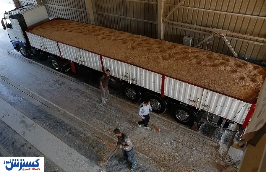 تعطیلی ۵ ابرکارخانه غلات به خاطر نبود ذرت!