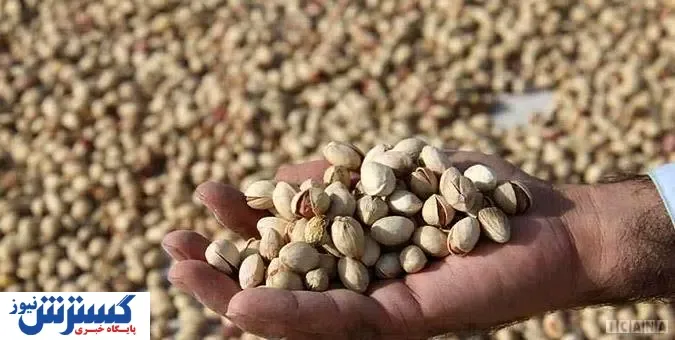 پسته در بازار کیلویی چند؟