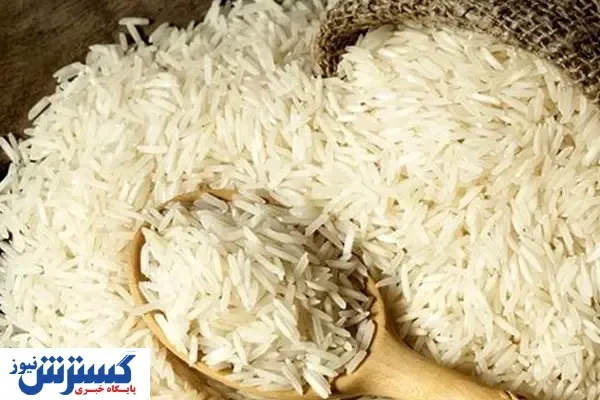 قیمت برنج طارم ایرانی کیلویی ۹۰ هزار تومان!/ دست احتکارکنندگان را قطع کنید