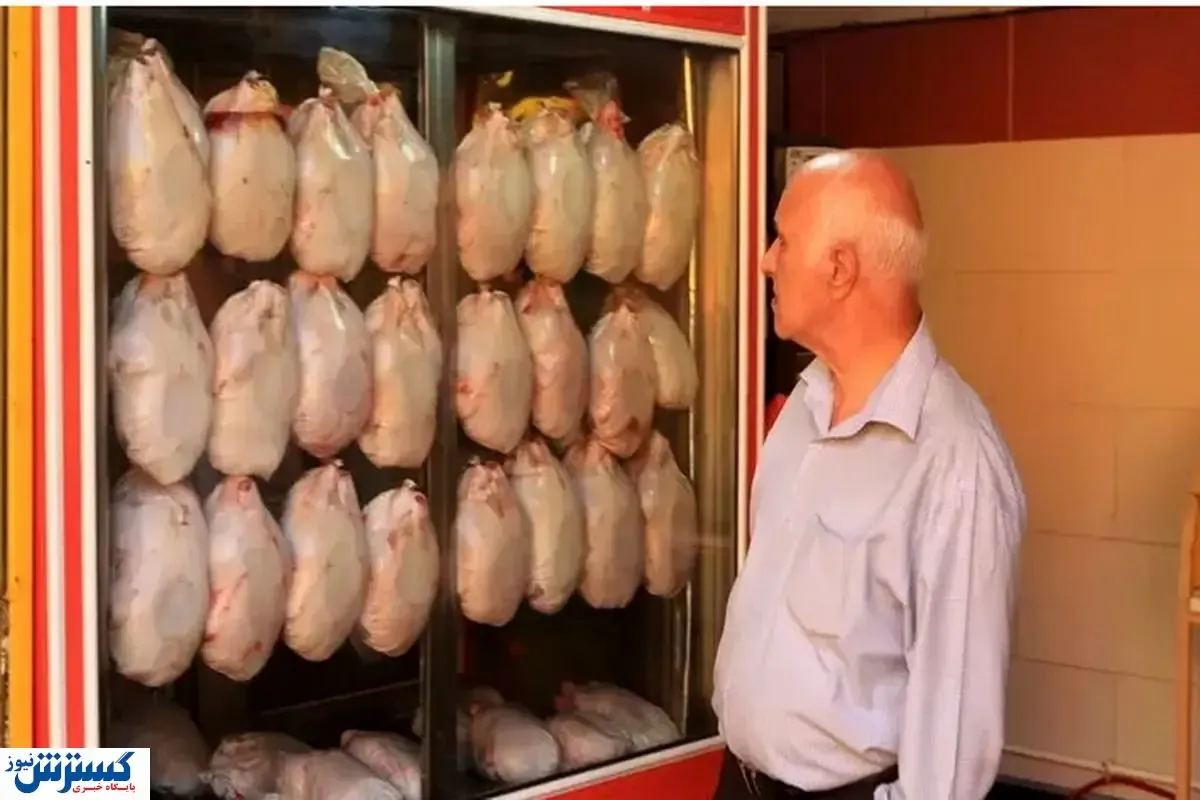 به این شرط قیمت مرغ سقوط می کند