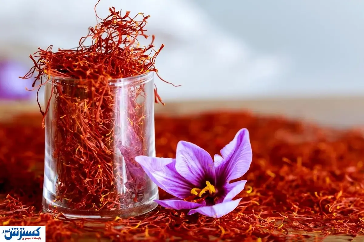 افزایش قیمت طلای سرخ رسماً قطعی شد