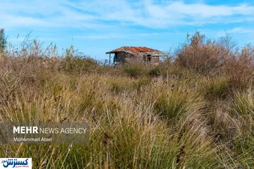 تصاویر/ آشوراده تنها جزیره خزر