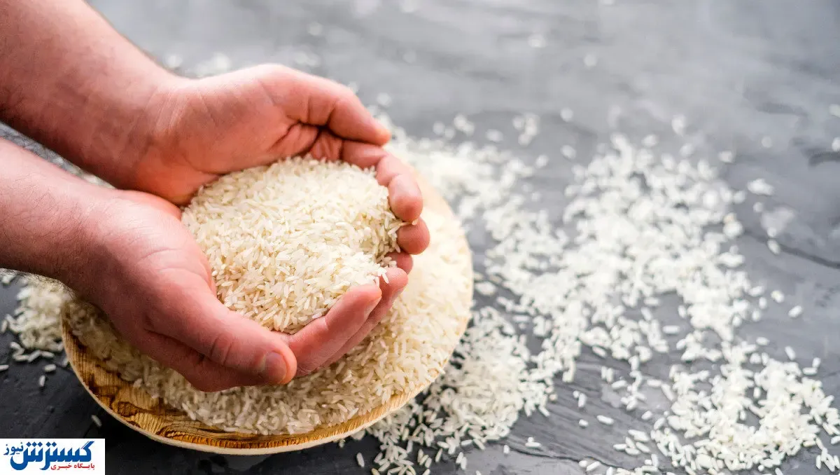 خبر بد درباره برنج رسماً اعلام شد + جزئیات