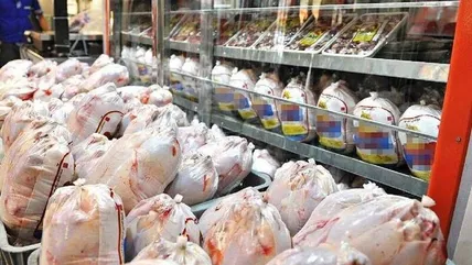 موج جدید گرانی در بازار پروتئین / مرغ ۳۲۰ هزار تومانی شد