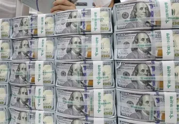 انقلاب ارزی دولت؛ واردکنندگان از صف‌های بانک مرکزی آزاد شدند