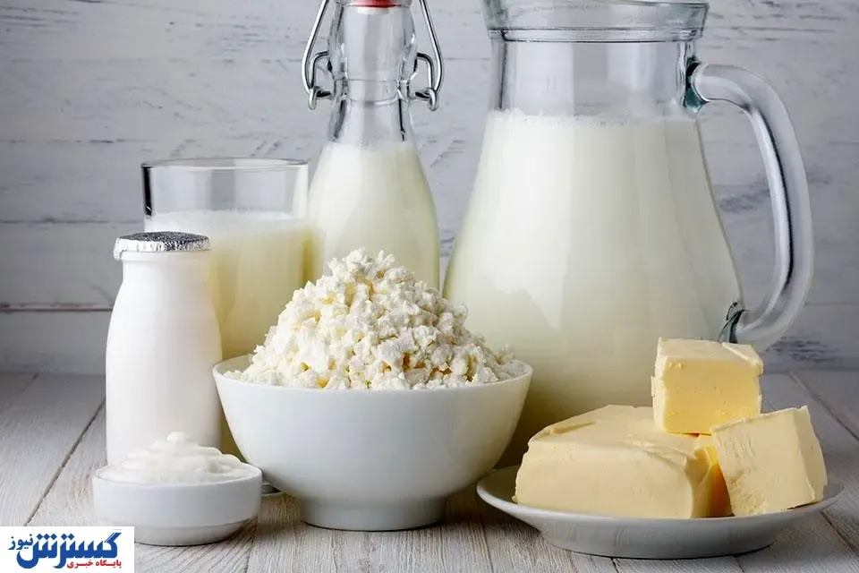 لبنیات چیست و با خواص آن آشنا شوید