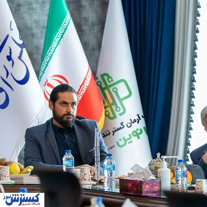 ورود هانی گلشنی به ساختار تصمیم‌گیری اقتصادی مجلس
