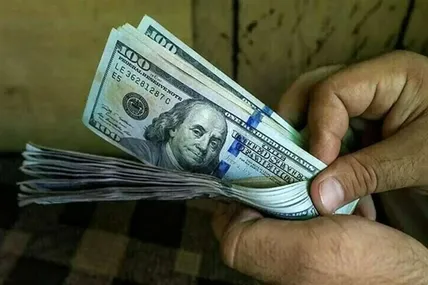 قیمت دلار امروز سه‌شنبه ۲۹ اردیبهشت + جدول تغییرات هفتگی و سالانه