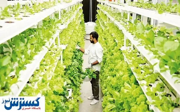 ستاد کشاورزی و غذا تشکیل می‌شود