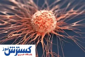 خوراکی های مفید برای پیشگیری از سرطان چشم