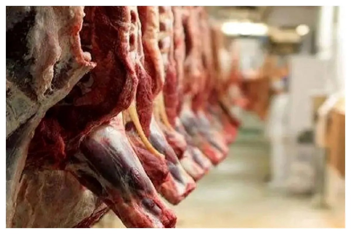 گوشت قرمز در مسیر کاهش قیمت / سفره‌ها رنگین می‌شود